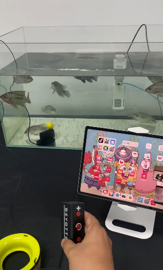 Real look at BEYOTTER K30 WiFi Float fishing camera